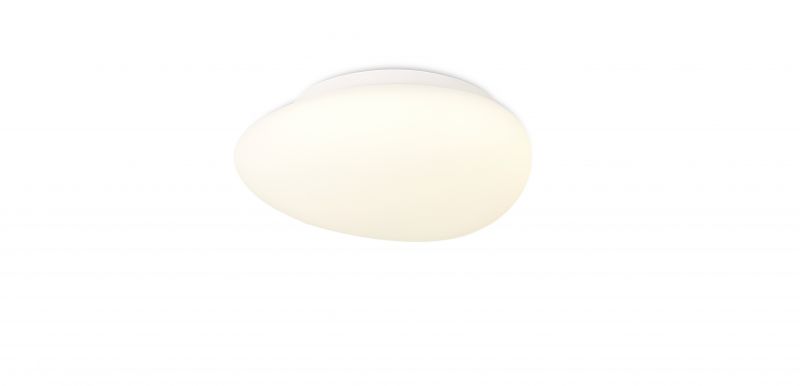 Потолочный светильник Simple Story 12W 1205-LED12CL
