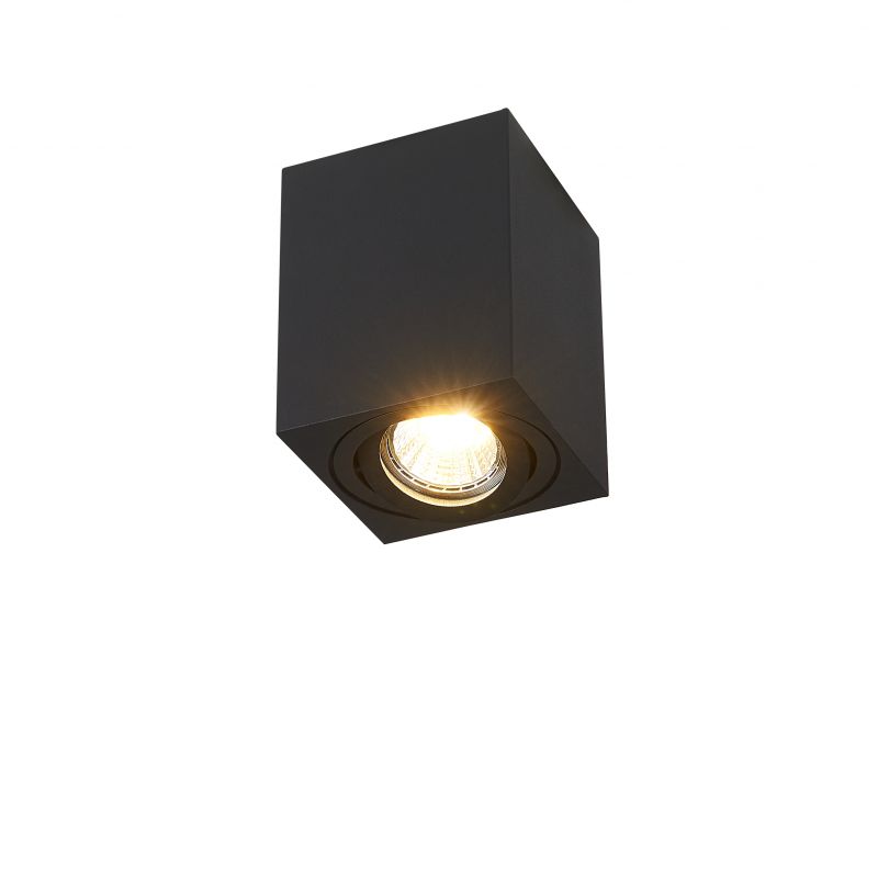Потолочный светильник Simple Story 2038-1CLB