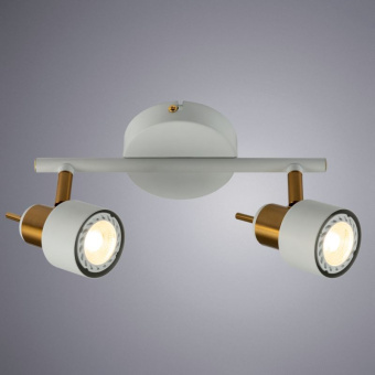 Потолочный светильник Arte Lamp ALMACH A1906PL-2WH