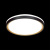 Настенно-потолочный светильник Sonex KLAPA 3045/EL