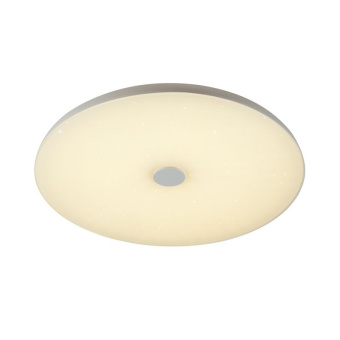 Потолочный светильник Sonex ROKI muzcolor 4629/DL