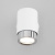 Настенный светильник Eurosvet Morgan 20124/1 белый/ хром