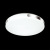 Настенно-потолочный светильник Sonex PALE VALE 3040/DL