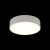 Светильник настенно-потолочный Aployt Evon APL.0113.09.18