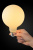 Лампочка светодиодная филаментная диммируемая Lucide FILAMENT BULB 49050/05/61