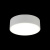 Светильник настенно-потолочный Aployt Evon APL.0114.09.12