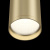 Потолочный светильник Maytoni  FOCUS S C052CL-01MG