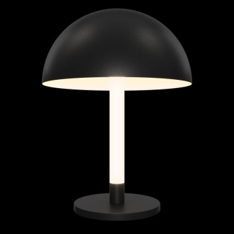 Настольная лампа Maytoni Table & Floor Ray Z012TL-L8B3K