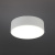 Светильник настенно-потолочный Aployt Evon APL.0114.09.12