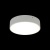 Светильник настенно-потолочный Aployt Evon APL.0114.09.18