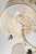 Подвесная люстра Eurosvet Amelia 10054/5 белый с золотом/прозрачный хрусталь Strotskis