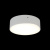 Светильник настенно-потолочный Aployt Evon APL.0113.09.12